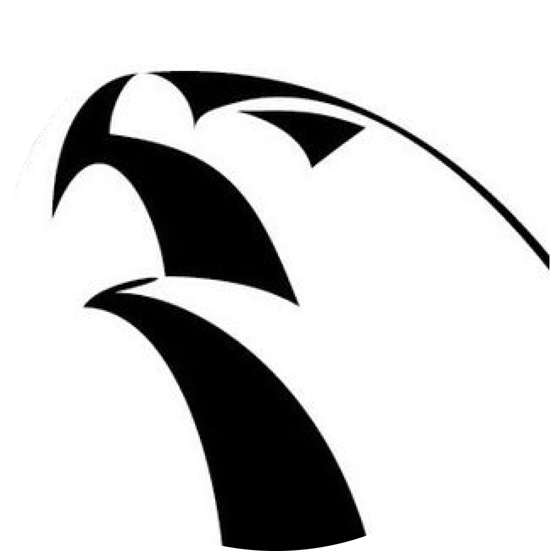 Alliance Jiu-Jitsu