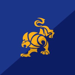 IBJJF – International Brazilian Jiu-Jitsu Federation