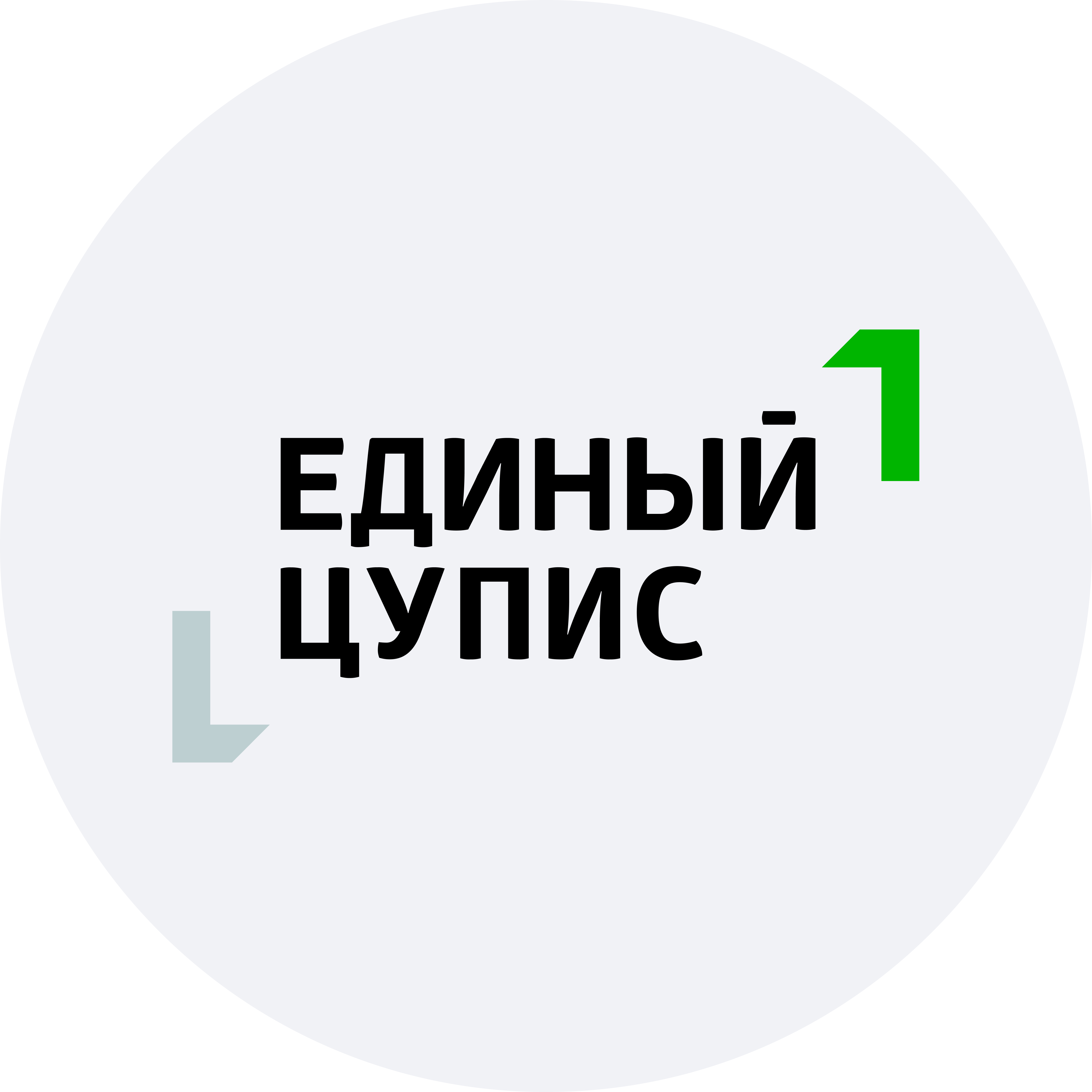 ЕДИНЫЙ ЦУПИС